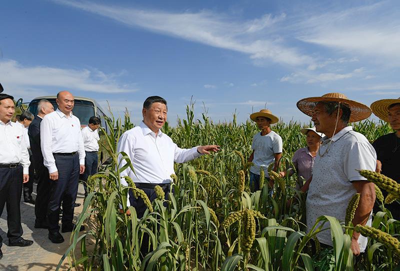 时政特稿丨总书记的“大食物观”(图6)