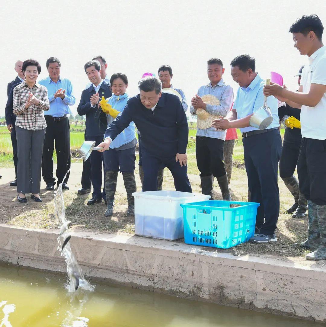 时政特稿丨总书记的“大食物观”(图8)