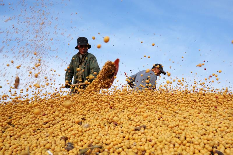 时政特稿丨总书记的“大食物观”(图9)